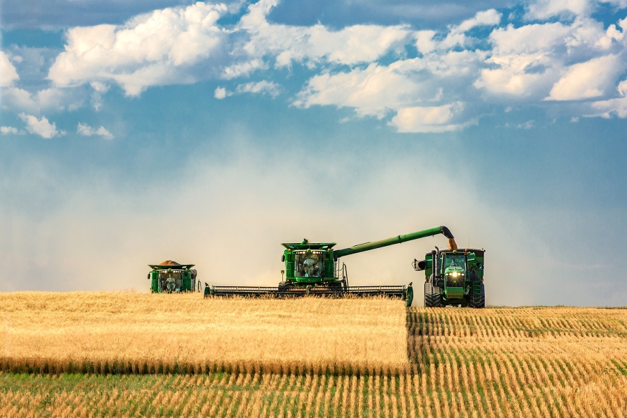 В России ожидают оптимальный урожай зерна